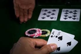 padu33 slot